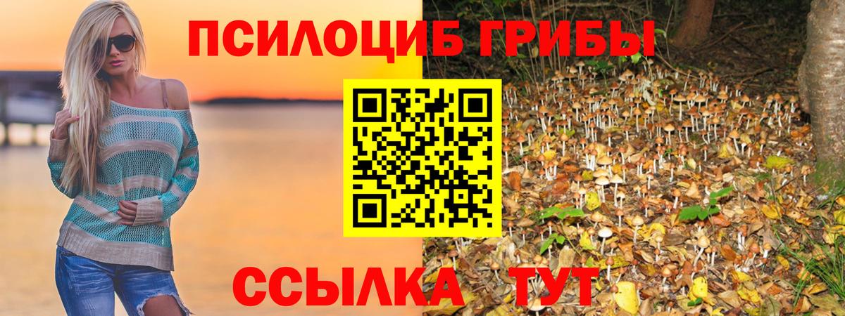 Чебаркуль  Галлюциногенные грибы прущие грибы  Вход с VPN 