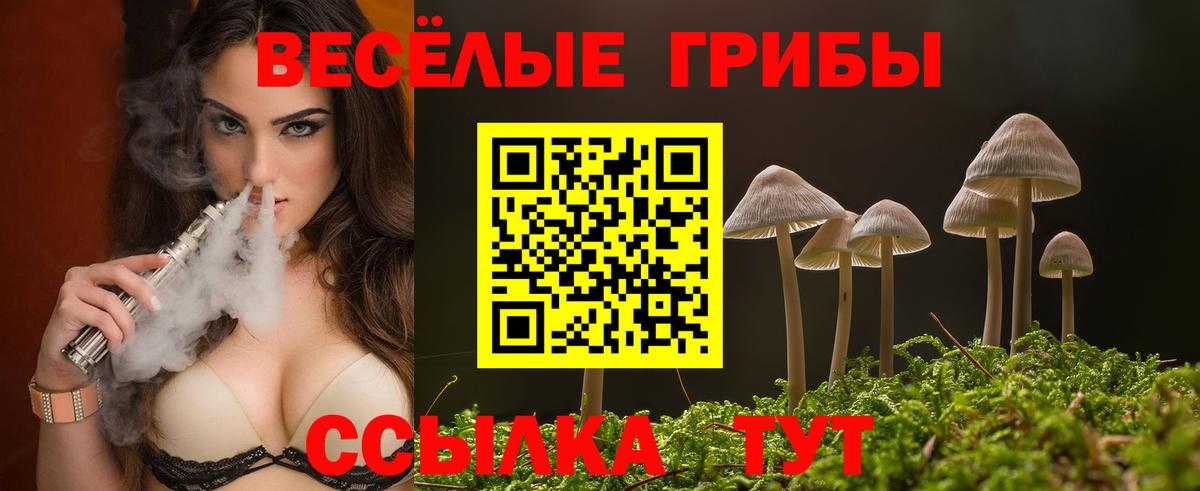 Галлюциногенные грибы Cubensis Чебаркуль